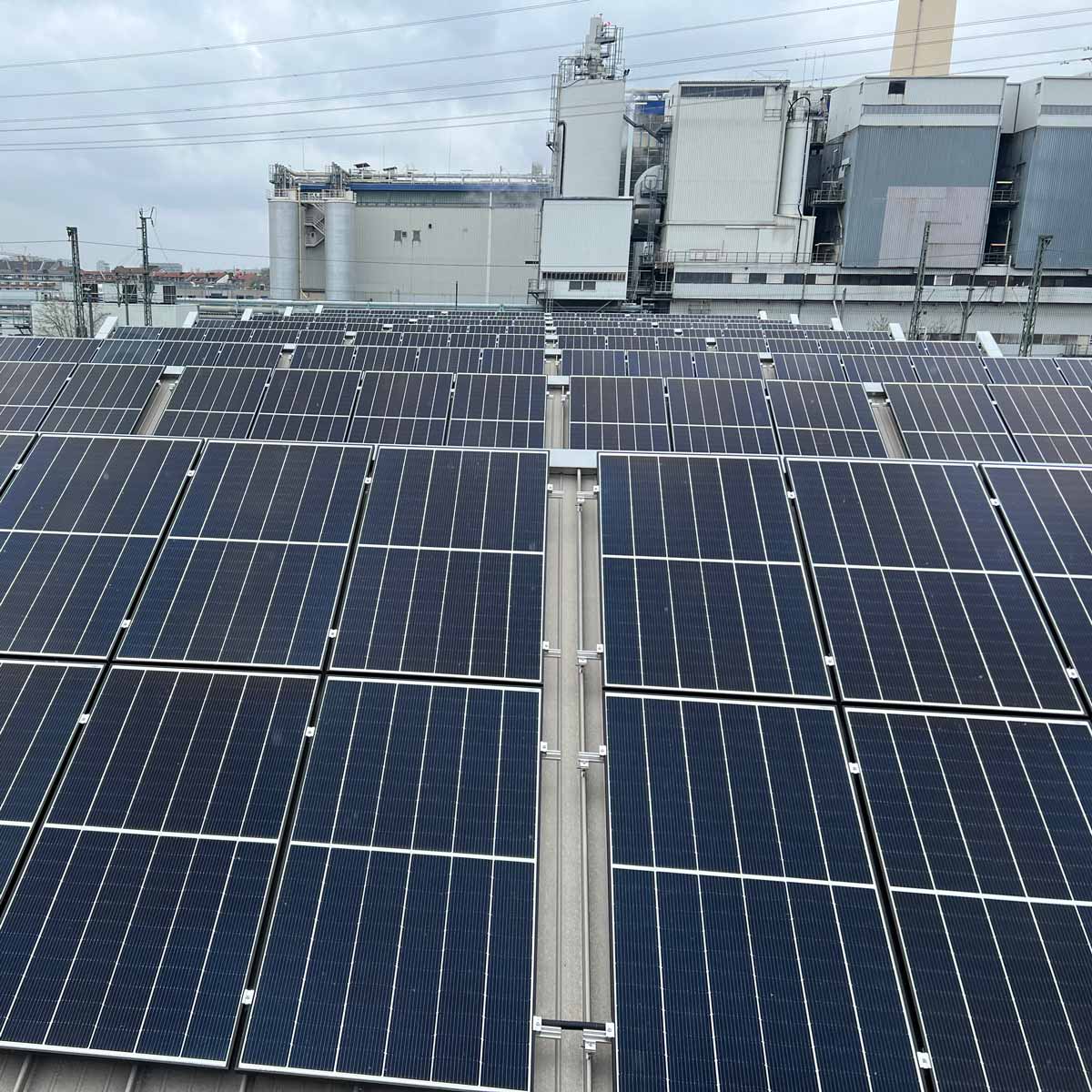 Andre Hannemann, unabhängiger Sachverständiger für Photovoltaik, bei der Prüfung und Begutachtung einer PV-Anlage inklusive Leistungsmessung und Bewertung.